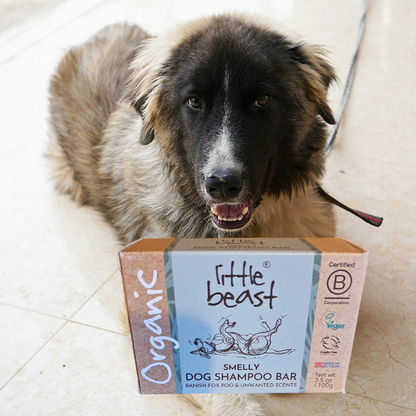 Dog shampoo